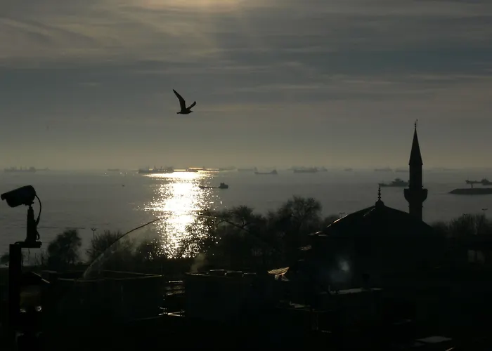 Coliseum 3* Стамбул