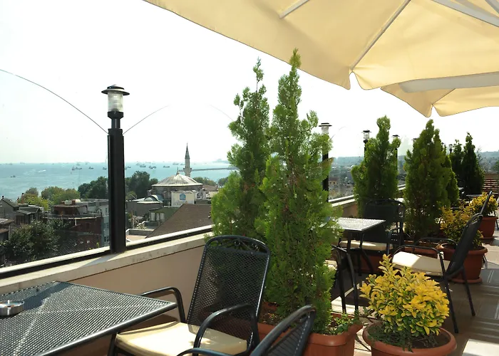 酒店 体育场酒店 3*